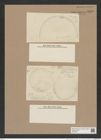 Hyalodiscus ? oamaruensis Grun. (de-Toni-Nr.: Genus 219) Zeichnungen Sammlung Grunow Nr. 9455 (NHMW-BOT-W0379317)